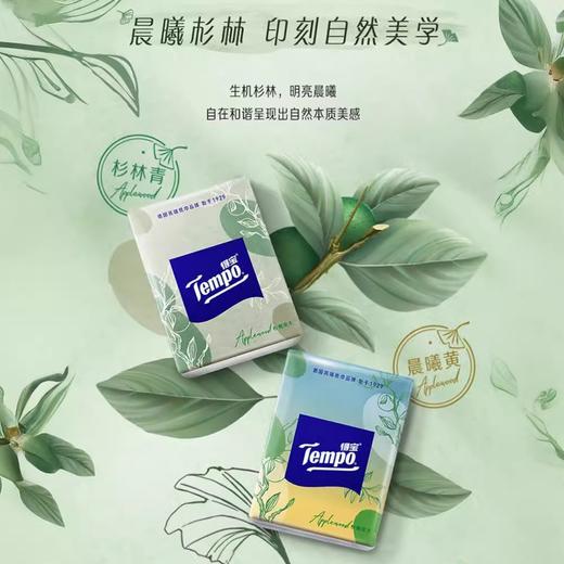 Tempo得宝丨随身装杉青果木味手帕纸 12小包 商品图2