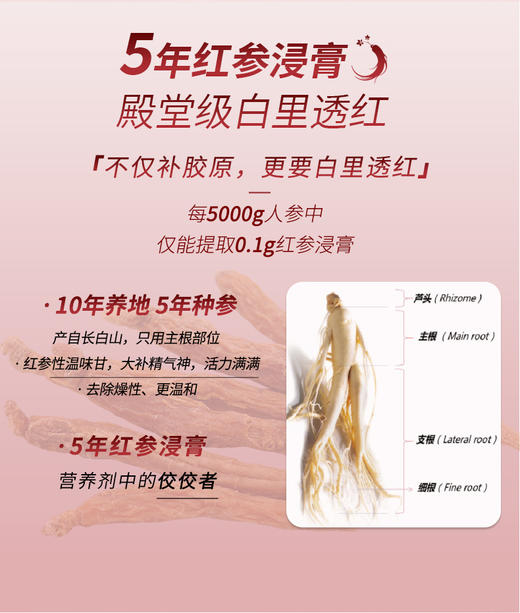 拾光肌色红参胶原蛋白肽饮 商品图4