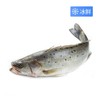 冰鲜鲈子鱼（800±50g）多退少补 商品缩略图0
