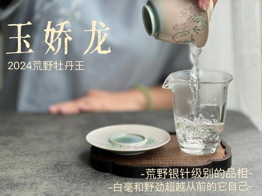 【2024春茶来了】2024荒野牡丹王如浆似汤，比往年更野、白毫更多、香气更馥郁，天生的有机茶！ 商品图8