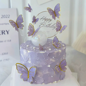 『梦幻紫蝴蝶』