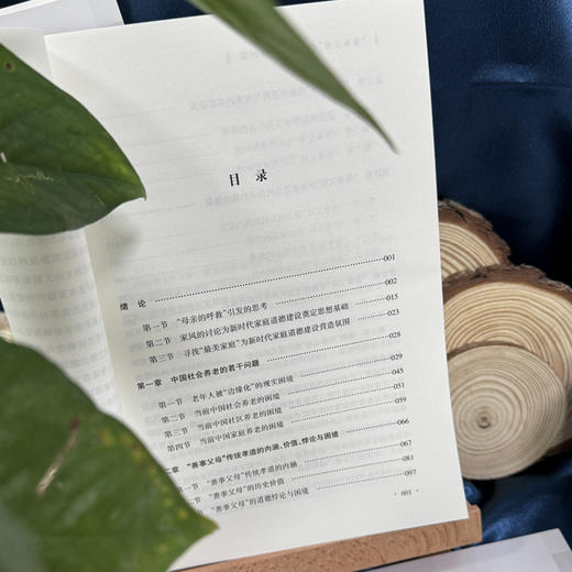 “善事父母”之当代传承与创新 路丙辉剖析中国社会养老问题 孝敬父母承欢膝下善待子女爱人和自己(路丙辉 著) 商品图4