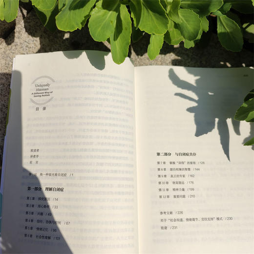 这世界唯一的你：自闭症人士独特行为背后的真相      （美）巴瑞·普瑞桑(（美）巴瑞·普瑞桑（美）汤姆·菲尔兹-迈耶) 商品图4