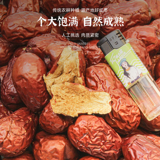 陕北特级狗头枣  山地种植 商品图1