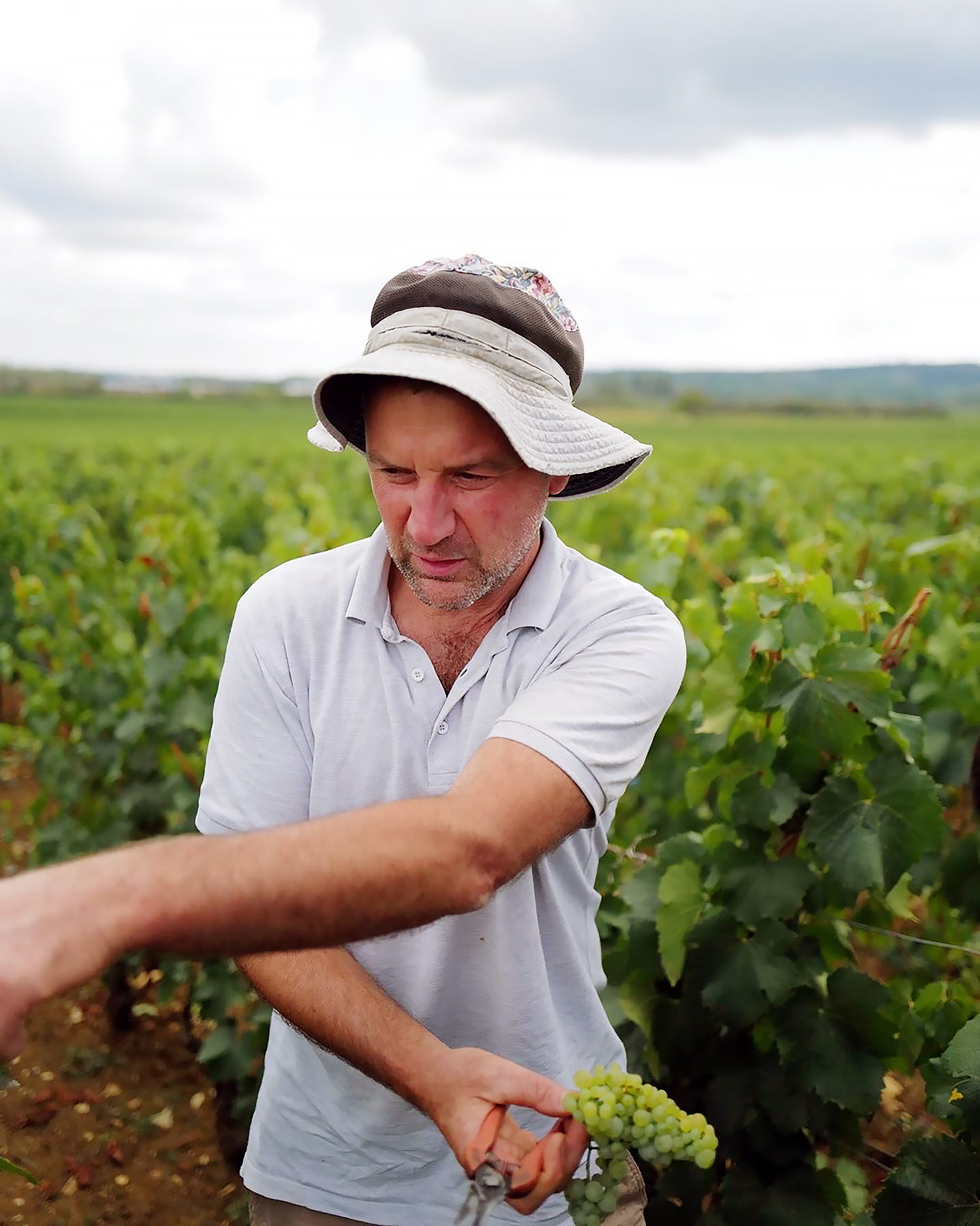 北京 1.11 周日｜Hubert Lamy 庄主晚宴