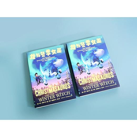 汤姆·弗莱彻奇遇系列:龙与冬季女巫([英]汤姆·弗莱彻) 商品图1