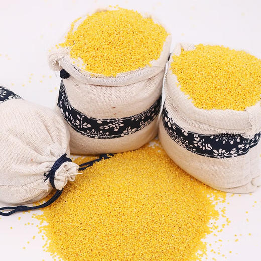 孟克河 敖汉有机黄小米 500g*3袋 产自世界小米之乡敖汉旗 商品图2