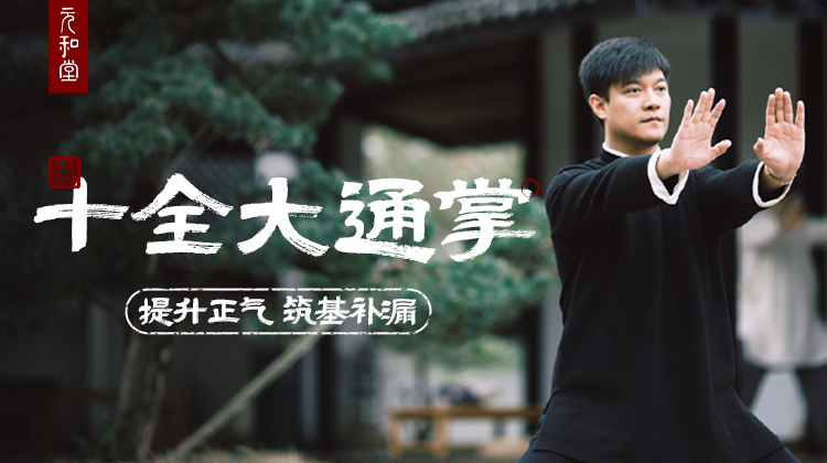 公益课程「十全大通掌完整讲解」迷罗老师亲讲 | 元和学院