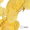 永生花材 | 苹果叶黄色 商品缩略图2