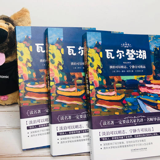 名师导读，世界文学名著：瓦尔登湖 商品图1