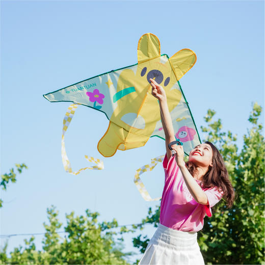 飞行团团风筝 商品图2