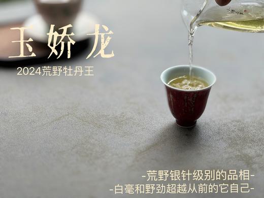【2024春茶来了】2024荒野牡丹王如浆似汤，比往年更野、白毫更多、香气更馥郁，天生的有机茶！ 商品图12
