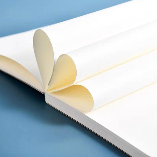 梵高油画笔记本（款式随机） 商品图2