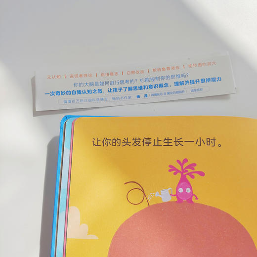 一本不可能之书    一本通往元认知和心灵哲学的入门书，邀请孩子与成人共赴一场充满乐趣的“思考”之旅！ 商品图6
