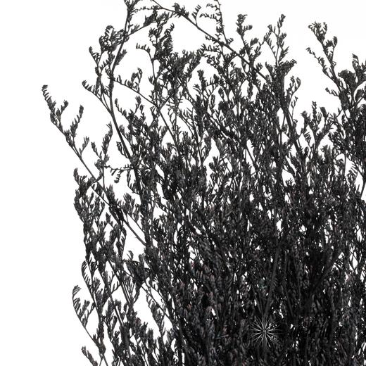 永生花材 | 情人草黑 商品图3