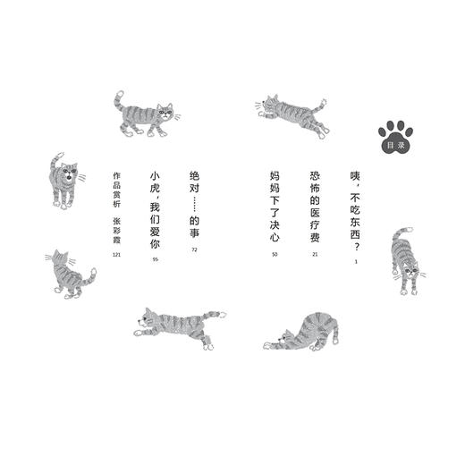 我家小虎的故事 商品图1