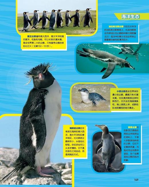 “美国国家地理科普大百科”系列（共4册）：《神秘的太空》《不可思议的动物与仿生》《奇妙的海洋》《酷酷的爬行动物》 商品图12