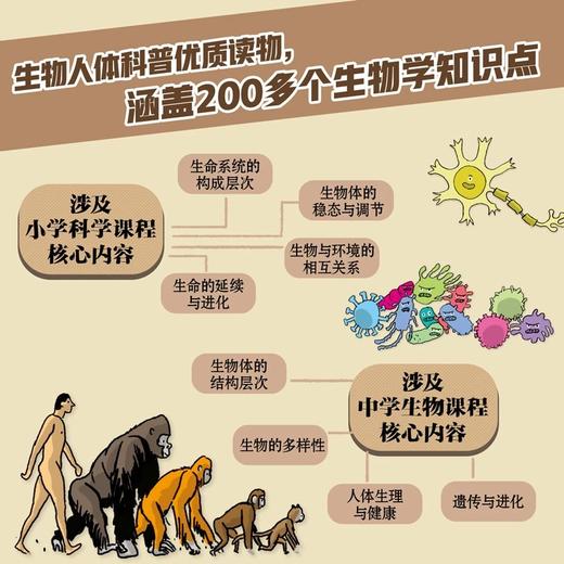 好玩的生物·人体（全8册） 商品图5