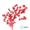 永生花材 | 苹果叶红色 商品缩略图1