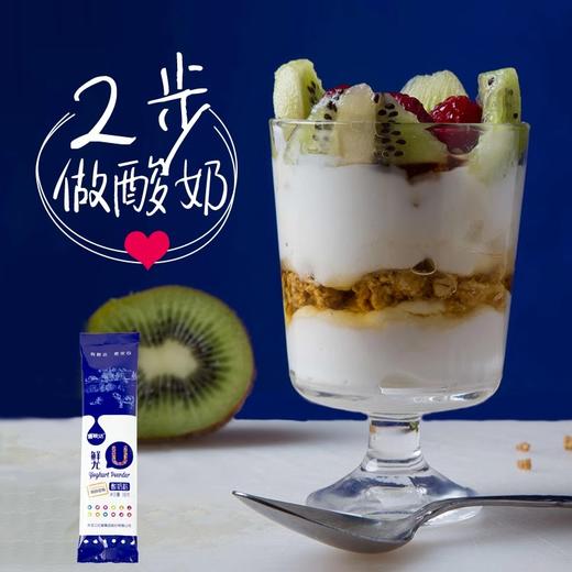 酸奶粉456g*4   自制酸奶 酸奶进口益生菌  全脂老奶粉  中老年奶粉  奶味浓郁 商品图1
