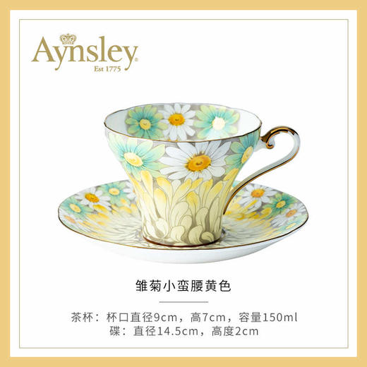 Aynsley 安斯丽雏菊系列一杯一碟 商品图4