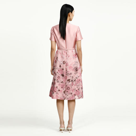 戴布拉芬连衣裙L27B533 商品图3