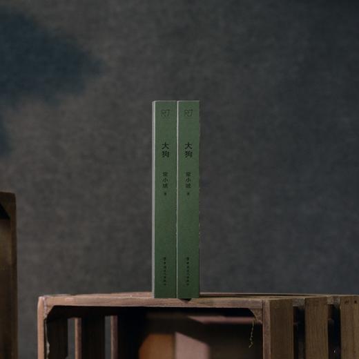 大狗 小说家常小琥首部短篇小说集·尺寸 商品图2