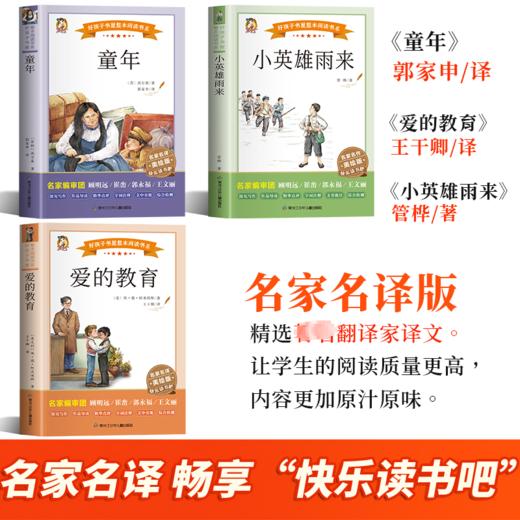 小英雄雨来 商品图3