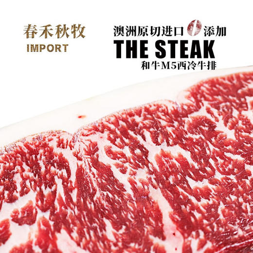 春禾秋牧 澳洲和牛M5+ 西冷牛排 200g*2 商品图2