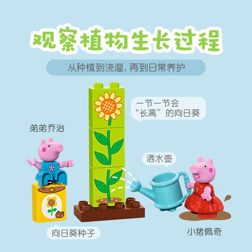 乐高LEGO 小猪佩奇花园树屋LEGC10431 商品图6