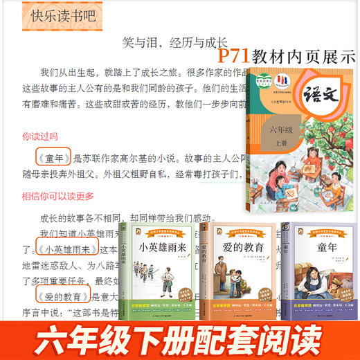 小英雄雨来 商品图1