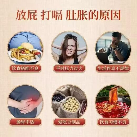 养生茶 陈皮内金茶腹胀打嗝积食消化不良开胃非养谓暖谓茶 商品图1