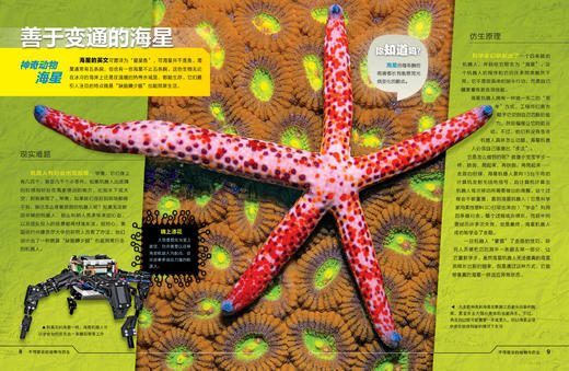 “美国国家地理科普大百科”系列（共4册）：《神秘的太空》《不可思议的动物与仿生》《奇妙的海洋》《酷酷的爬行动物》 商品图4