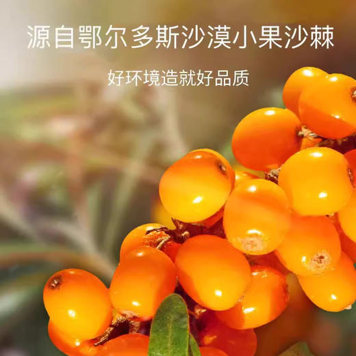 菓奇奇 有机沙棘原汁 246ml*10易拉罐 箱装 优选沙漠小果沙棘 商品图1