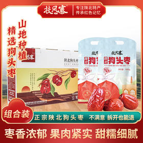 陕北特级狗头枣  山地种植