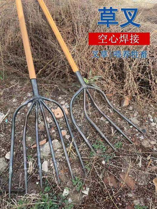 【ZK】大号钢叉 商品图0