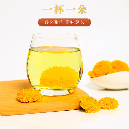 天蒙药谷 有机皇菊茶 20g 瓶装 源自世界长寿之乡 商品图2