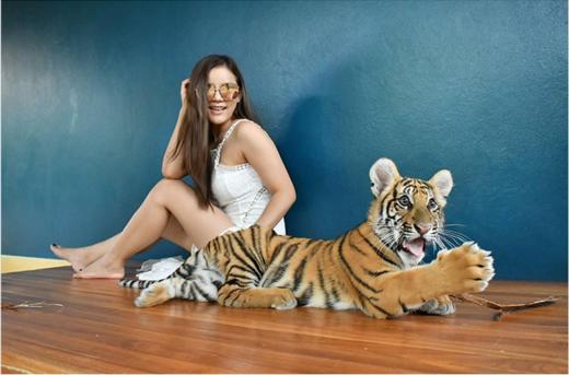 泰国普吉岛老虎公园门票代订【老虎园 Tiger Park|体验近距离接触​老虎拍照】 商品图0