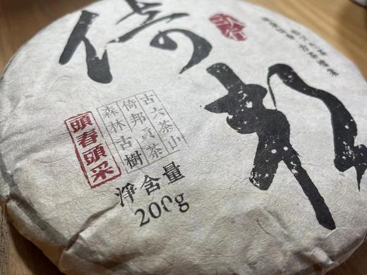 22春·倚邦贡茶·古树档案·200克 商品图7