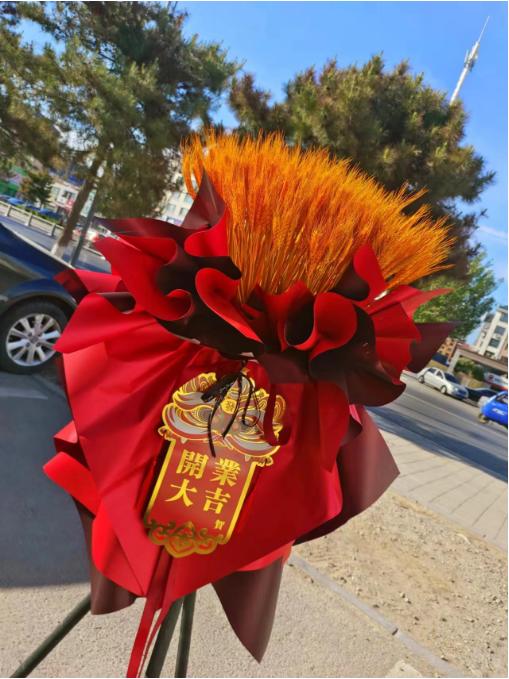 开业大麦一对 商品图3