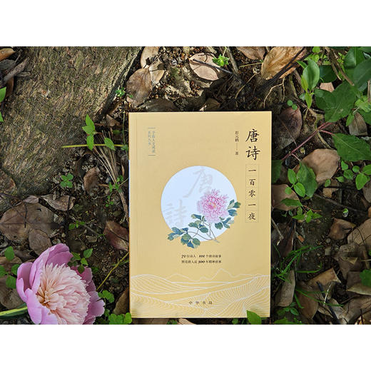 唐诗一百零一夜（予路人文阅读系列丛书）(彭元鹤) 商品图2