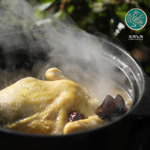 龙游飞鸡900-1100g 商品图2