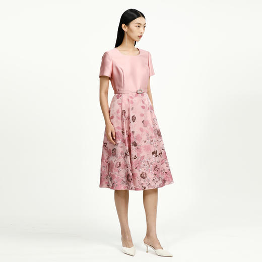 戴布拉芬连衣裙L27B533 商品图2