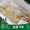 龙游飞鸡900-1100g 商品缩略图0