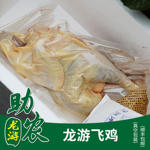 龙游飞鸡900-1100g 商品图0