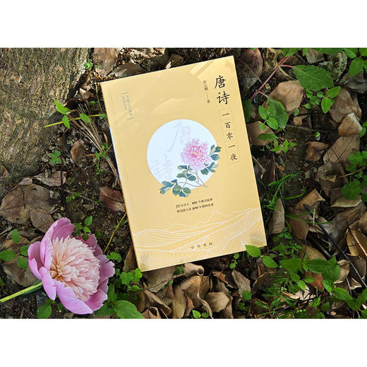 唐诗一百零一夜（予路人文阅读系列丛书）(彭元鹤) 商品图3