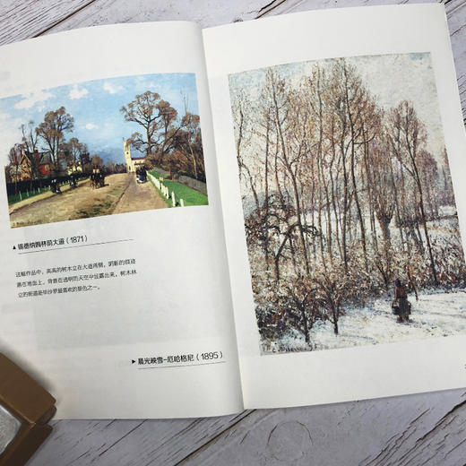 名师导读，世界文学名著：瓦尔登湖 商品图5