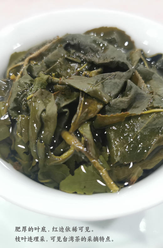 台湾 杉林溪高冷乌龙茶 75克 清香 1800米左右 手工碳焙 商品图4