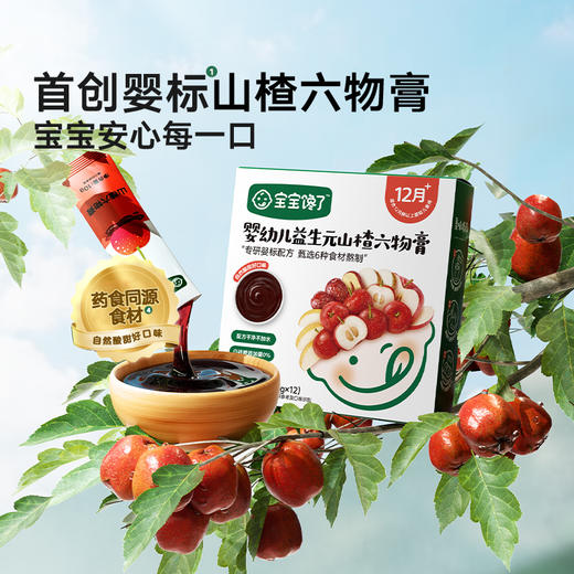 【宝宝馋了】婴幼儿益生元山楂六物膏 甄选6种食材熬制 送12月+婴幼儿食谱 商品图0