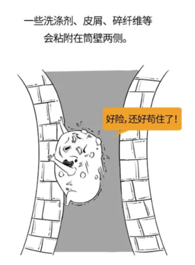  洗衣少了这一步，衣服越洗越脏！ 